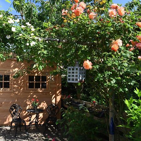 Wadden Eiland Bed En Breakfast Op Texel 우데쉴드 외부 사진