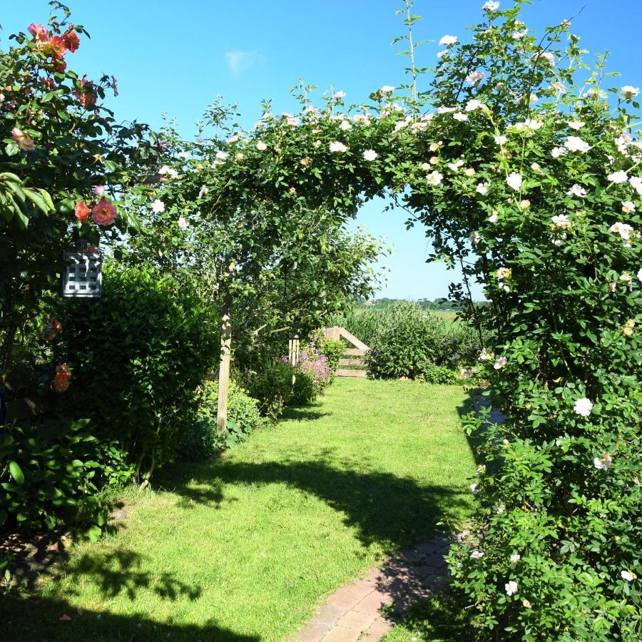 Wadden Eiland Bed En Breakfast Op Texel 우데쉴드 외부 사진